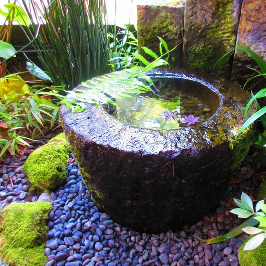 Introduction to Japanese Garden - Approaches to Space, Stone and Mind: Aug. 9 & 10